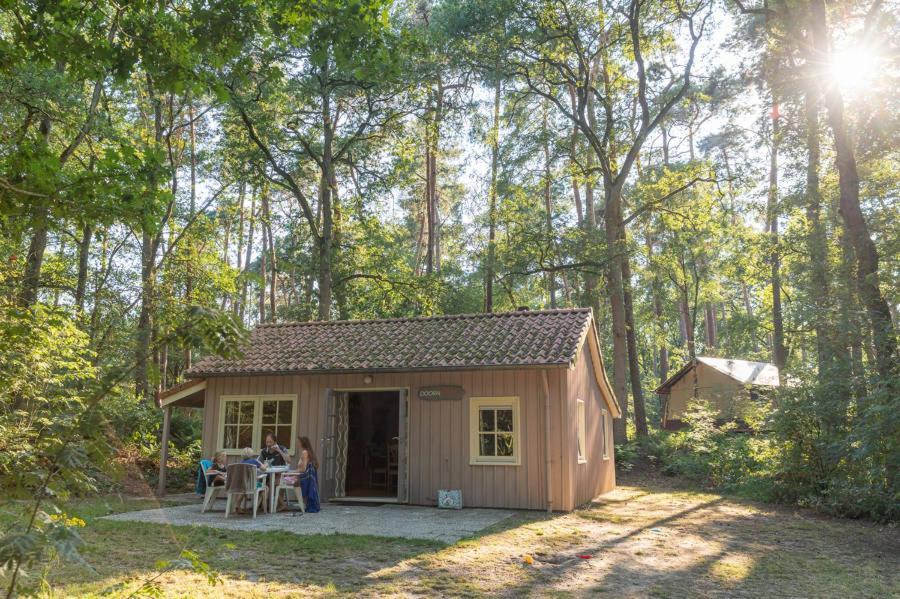 Chalets De Roos Beerze Экстерьер фото